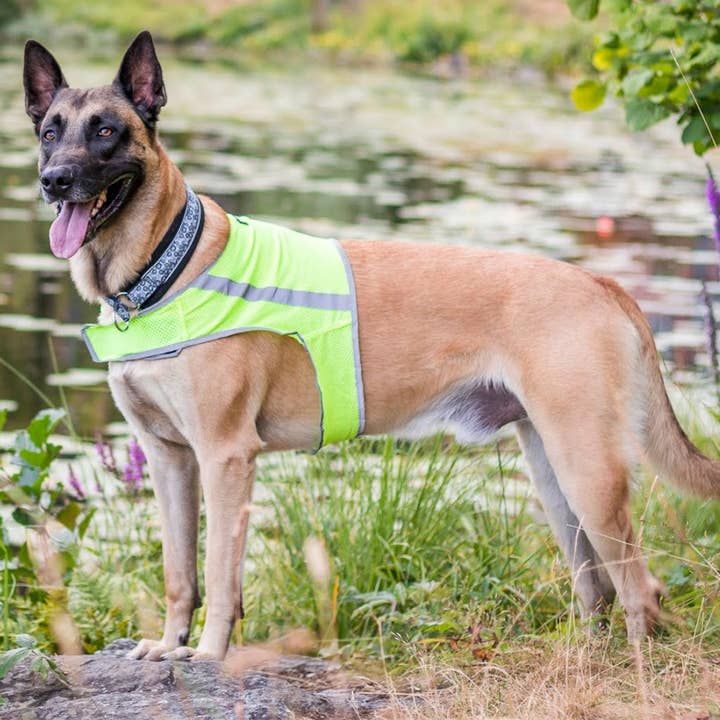 FINNERO - Wholesale Pet Vest - Dog - FINNERO ATTE Reflective Dog Attention Vest, 3 colors6