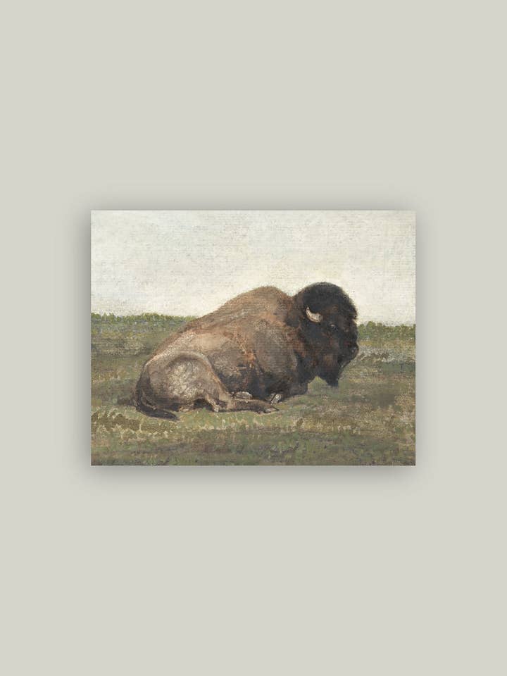 Resting Bison Artist Board for wholesale by Petal Lane Home