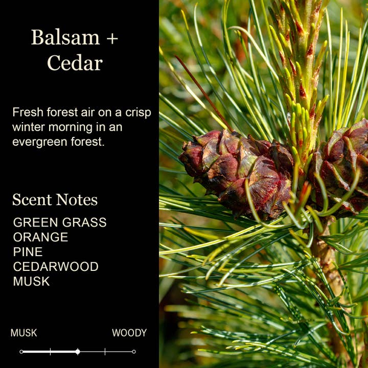Cedar Crate Market - Wholesale Jar/Filled Candle - Home Decor | Balsam & Cedar | Best Friend