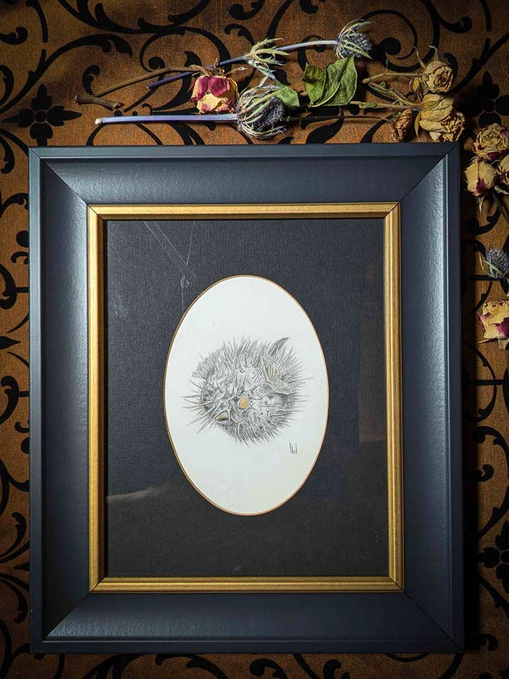 Mr BlowMeFish - Original Drawing for wholesale by Studio Umbralux