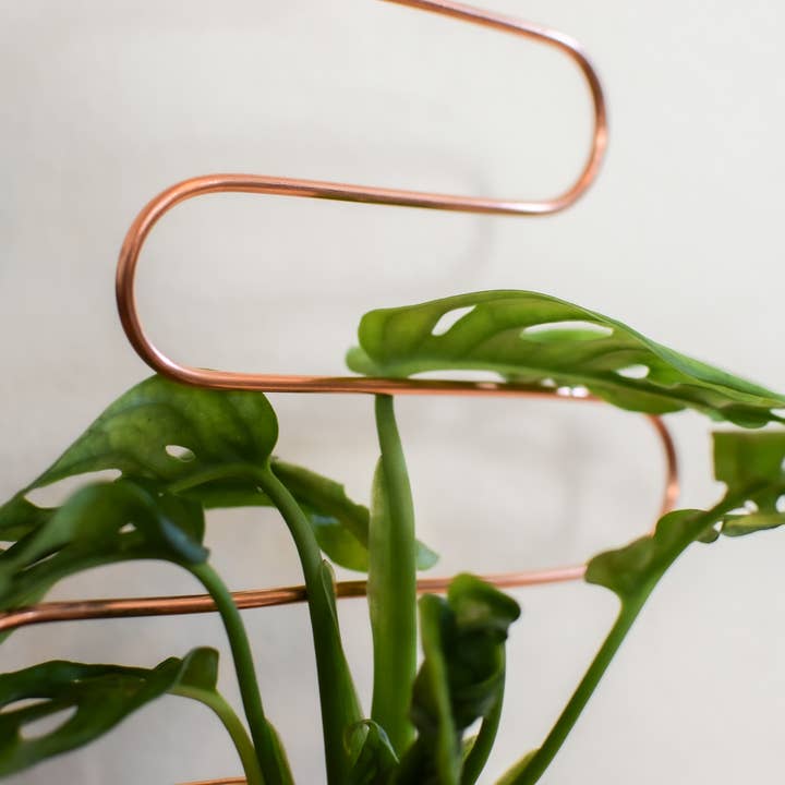Copper & Needle - Wholesale Trellis - Squiggle Copper Trellis