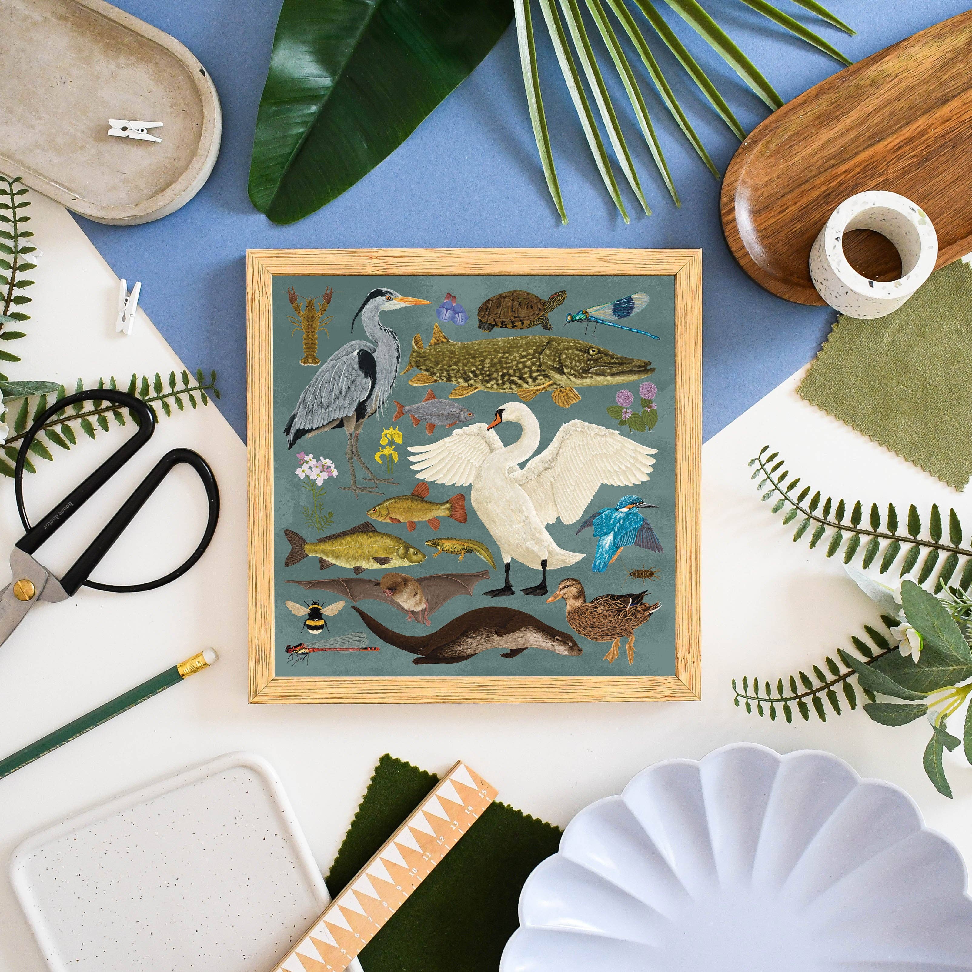 Ferne Creative - Wholesale Art Print - British Waterway Wildlife Print3