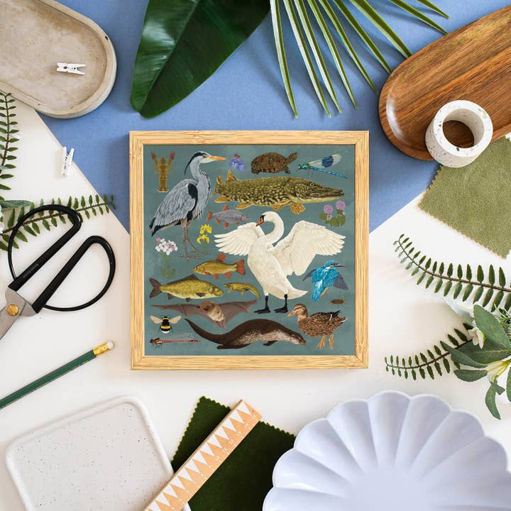 Ferne Creative - Wholesale Art Print - British Waterway Wildlife Print3