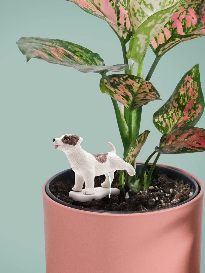 Decoración para plantas con perro autorriego para venta al por mayor de NPW