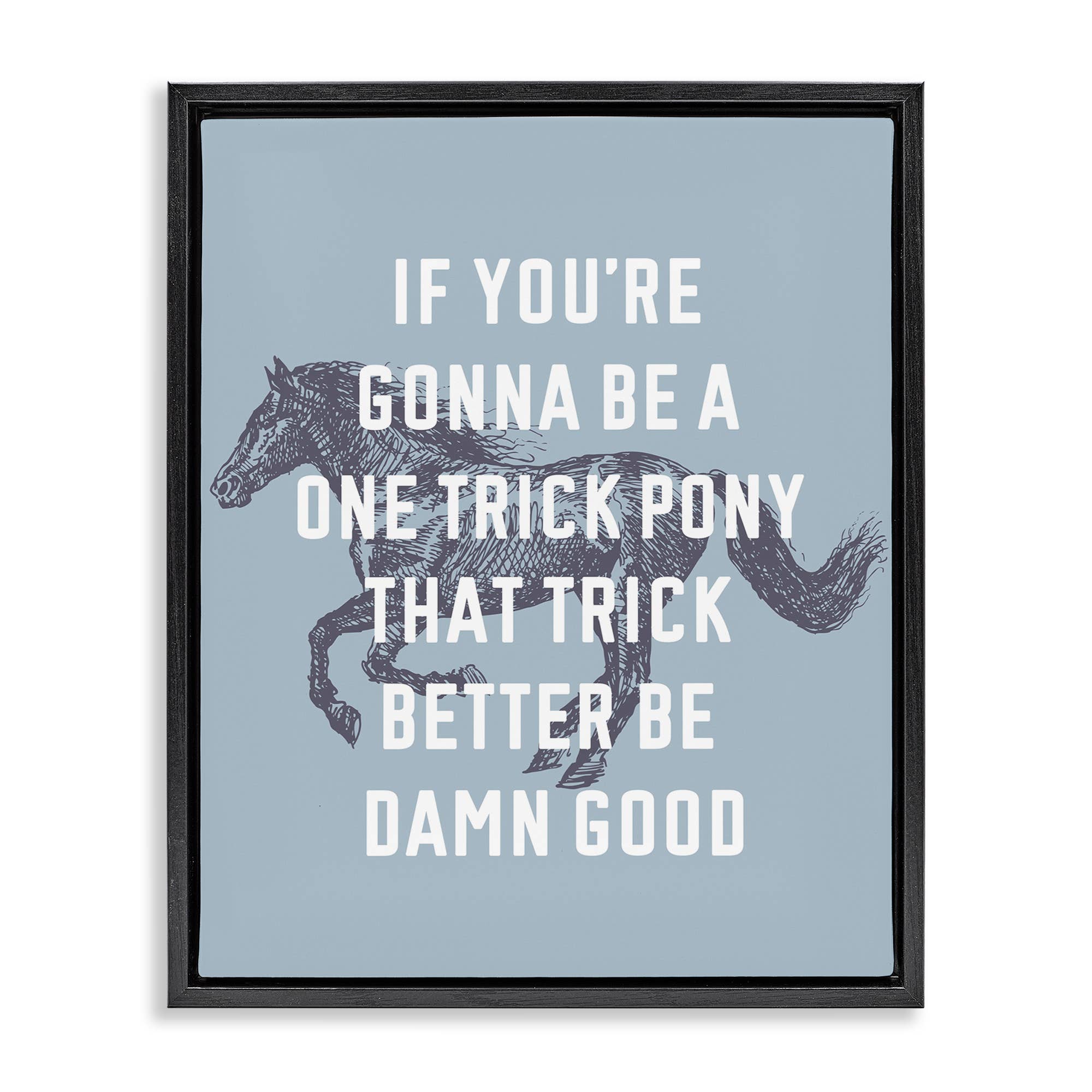 Stupell Industries - Wholesale Wall Decor - Kids & Baby - One Trick Pony Phrase Floater Framed Art1