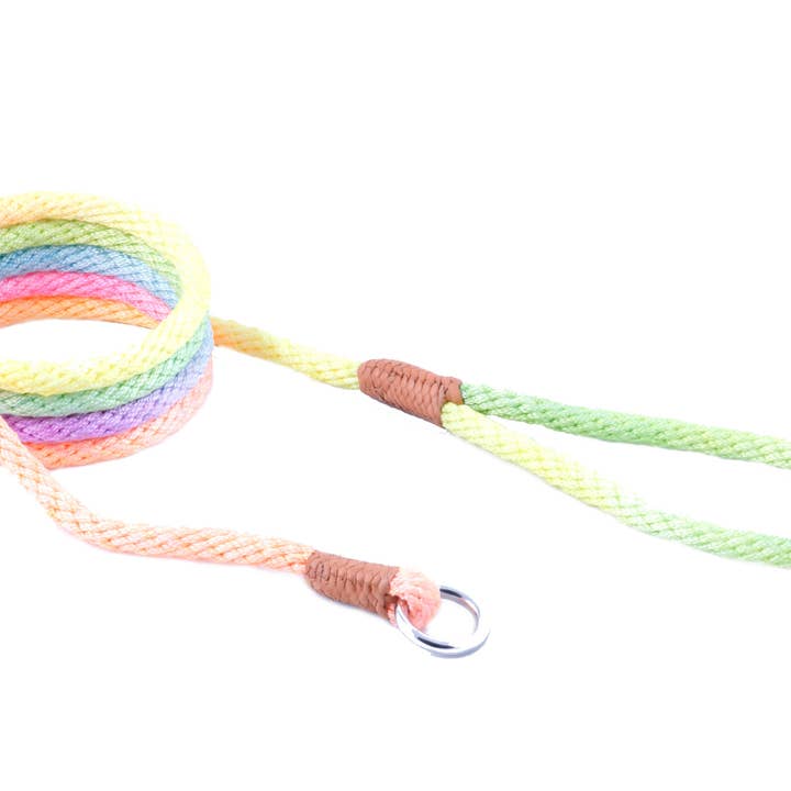 Alvalley - Wholesale Pet Leash - Dog - Nylon Slip Leads237