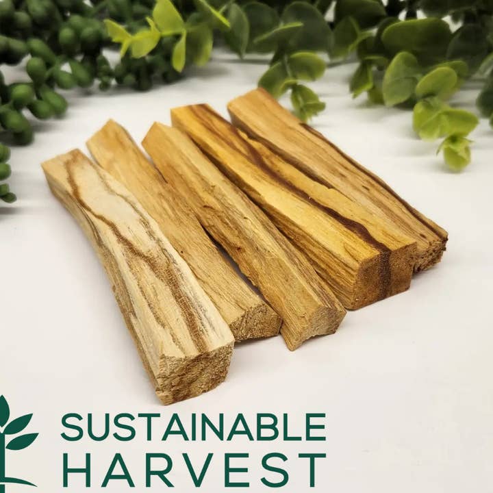 Palo Santo Sticks -1 kg(2.2 lbs) Approx. 8-10cm/3-4" Length for wholesale by Meraki Gemstones