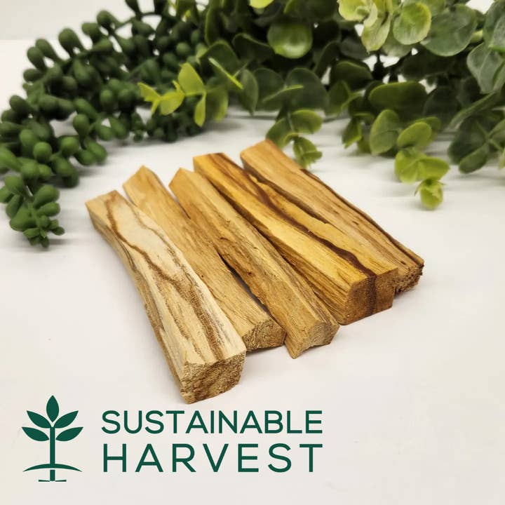 Palo Santo Sticks -1 kg(2.2 lbs) Approx. 8-10cm/3-4" Length for wholesale by Meraki Gemstones