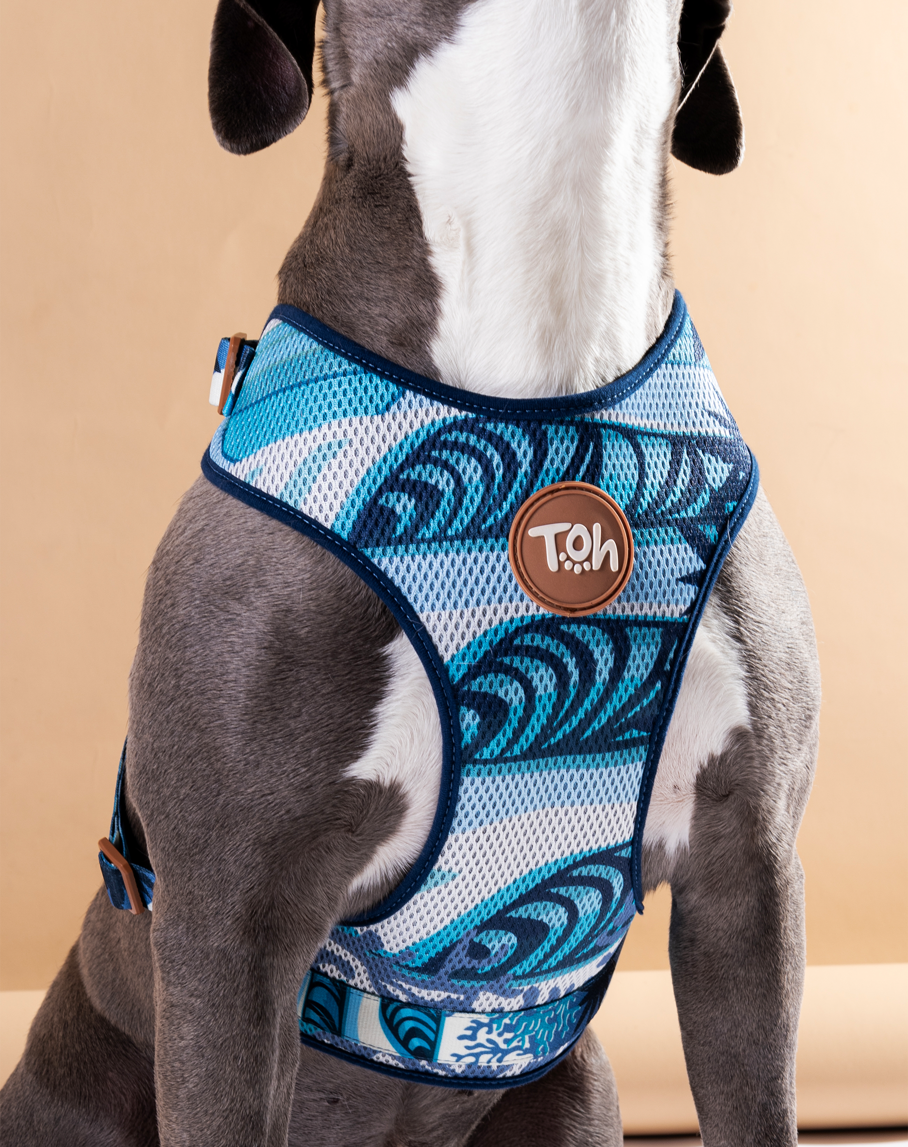 Toh - Wholesale Pet Harness - Dog - H-Mesh Dog Harness Noronha1