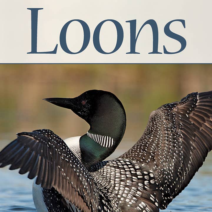 Loons Playing Cards for wholesale by AdventureKEEN