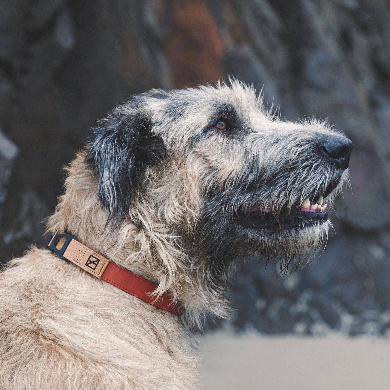 Herzog - Wholesale Pet Collar - Dog - Terracotta Collar - Recycled Ripstop3