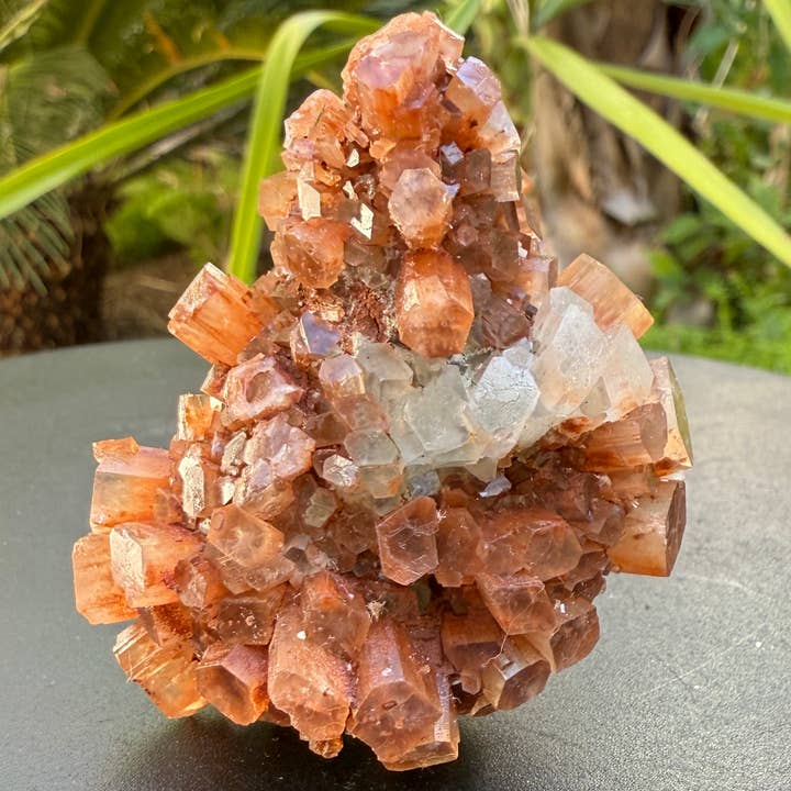 Metaphysical & Healing Crystals - Wholesale Spiritual Stone/Crystal - ARAGONITE CLUSTERS FROM MOROCCO12