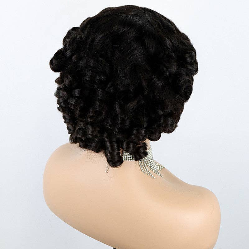   Natural Curly Human Hair Wig Collection for wholesale on Faire1