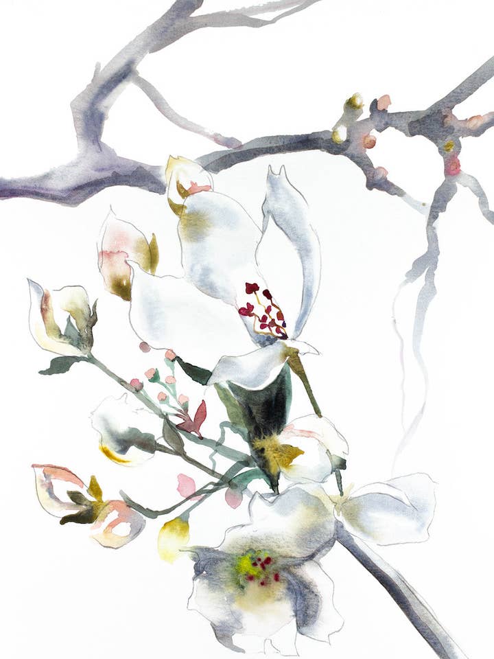 Fleur de cerisier n° 9 pour la vente par Elizabeth Becker