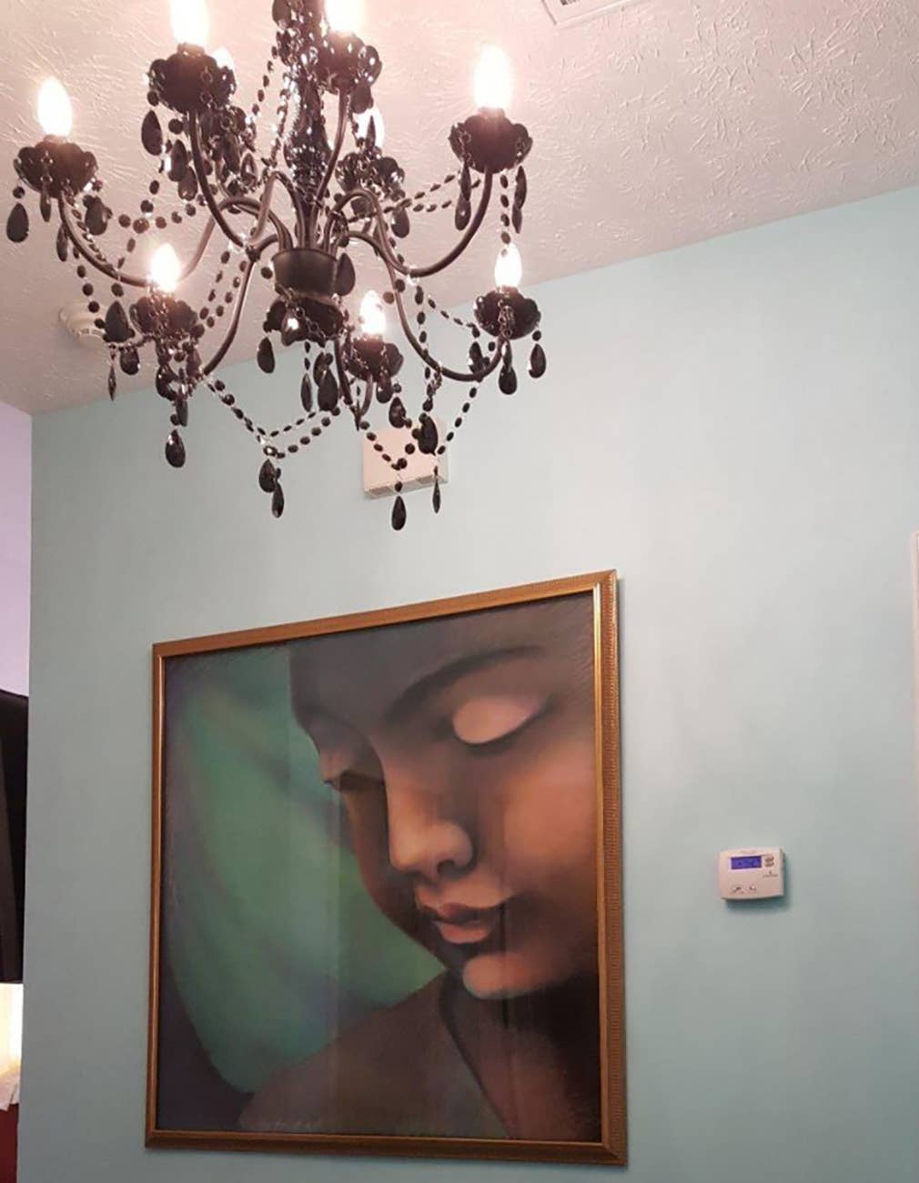 Think Brink - Wholesale Chandelier/Hanging Light - 9 Light Black Plug-in Chandelier4