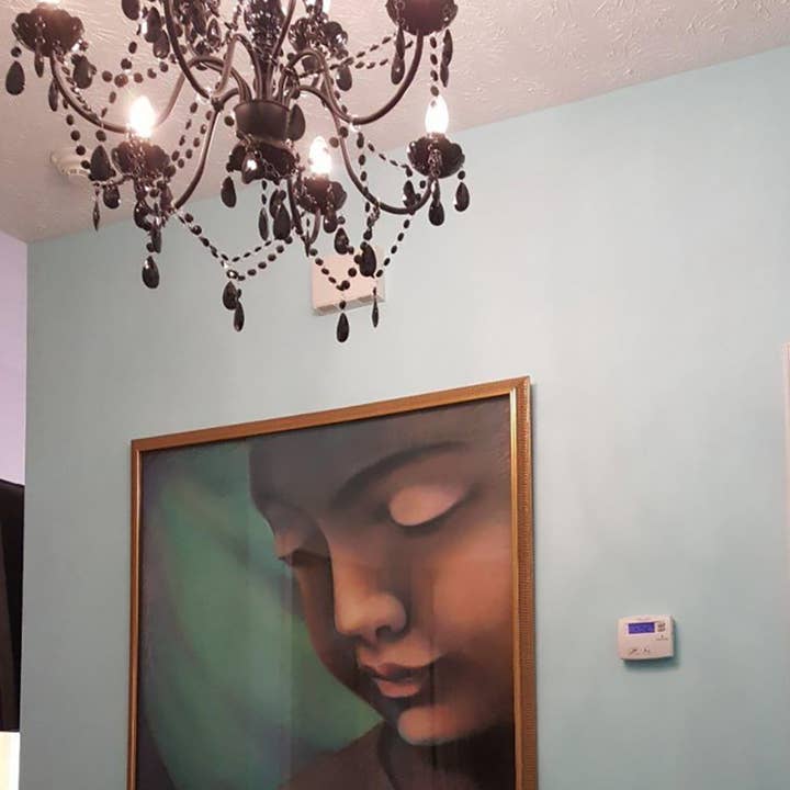 Think Brink - Wholesale Chandelier/Hanging Light - 9 Light Black Plug-in Chandelier4