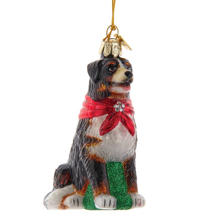 Noble Gems™ Bernese Mountain Dog Glass Ornament for wholesale by Kurt S. Adler, Inc.