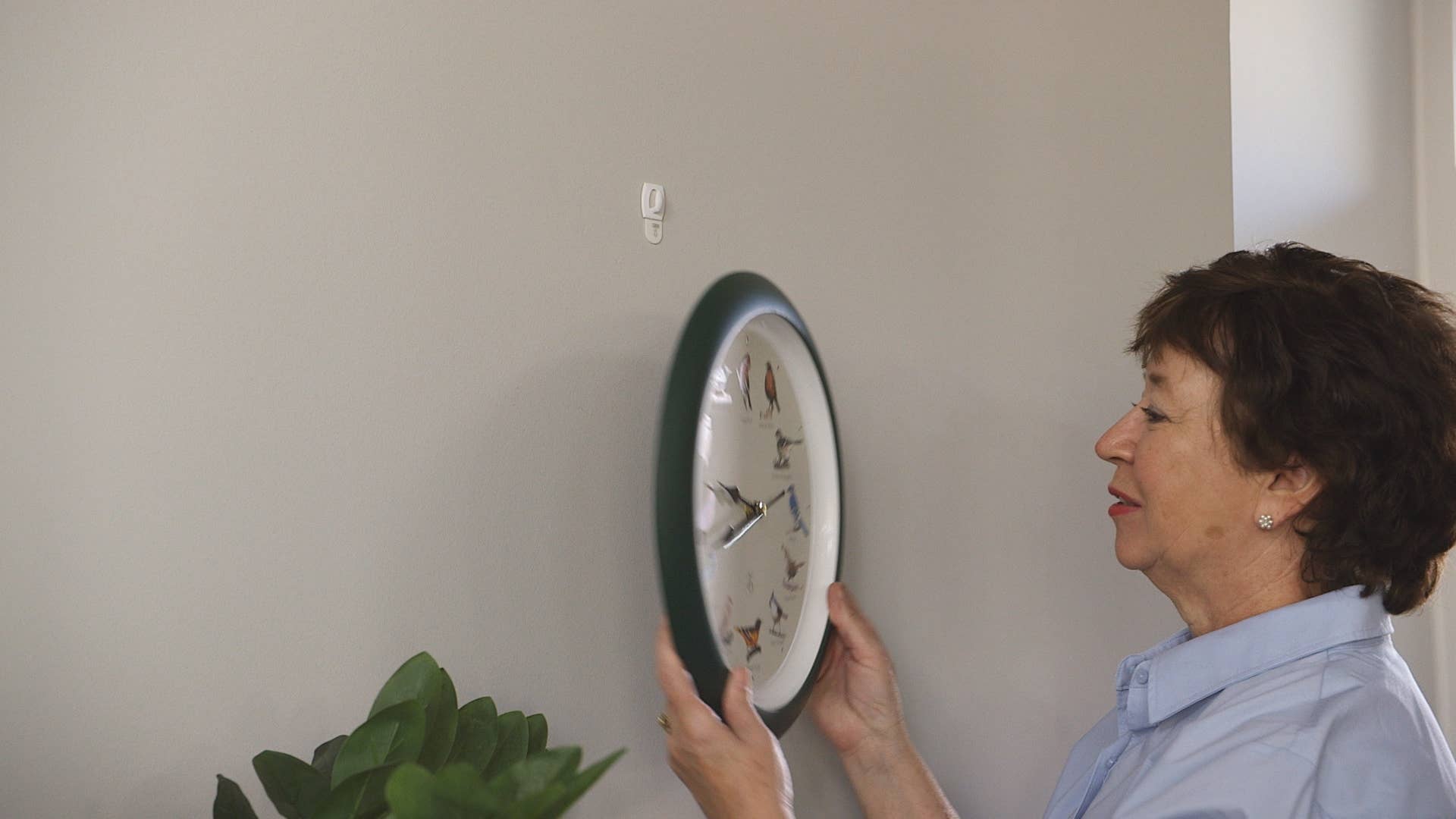 Mark Feldstein & Associates - Wholesale Wall Clock - 25th Anniversary Original Singing Bird Clock, 13 Inch, Green5