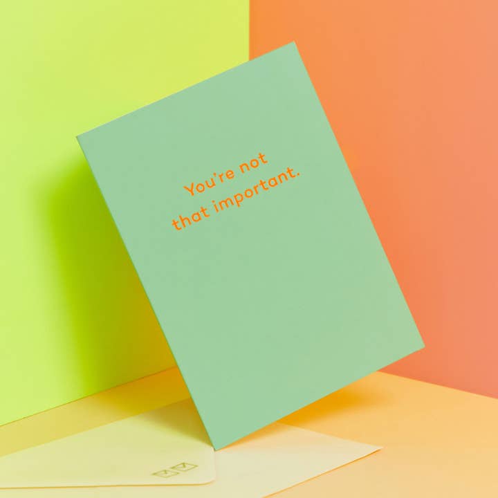 Mean Mail – wholesale Friendship card – You're Not That Important. friendship card0