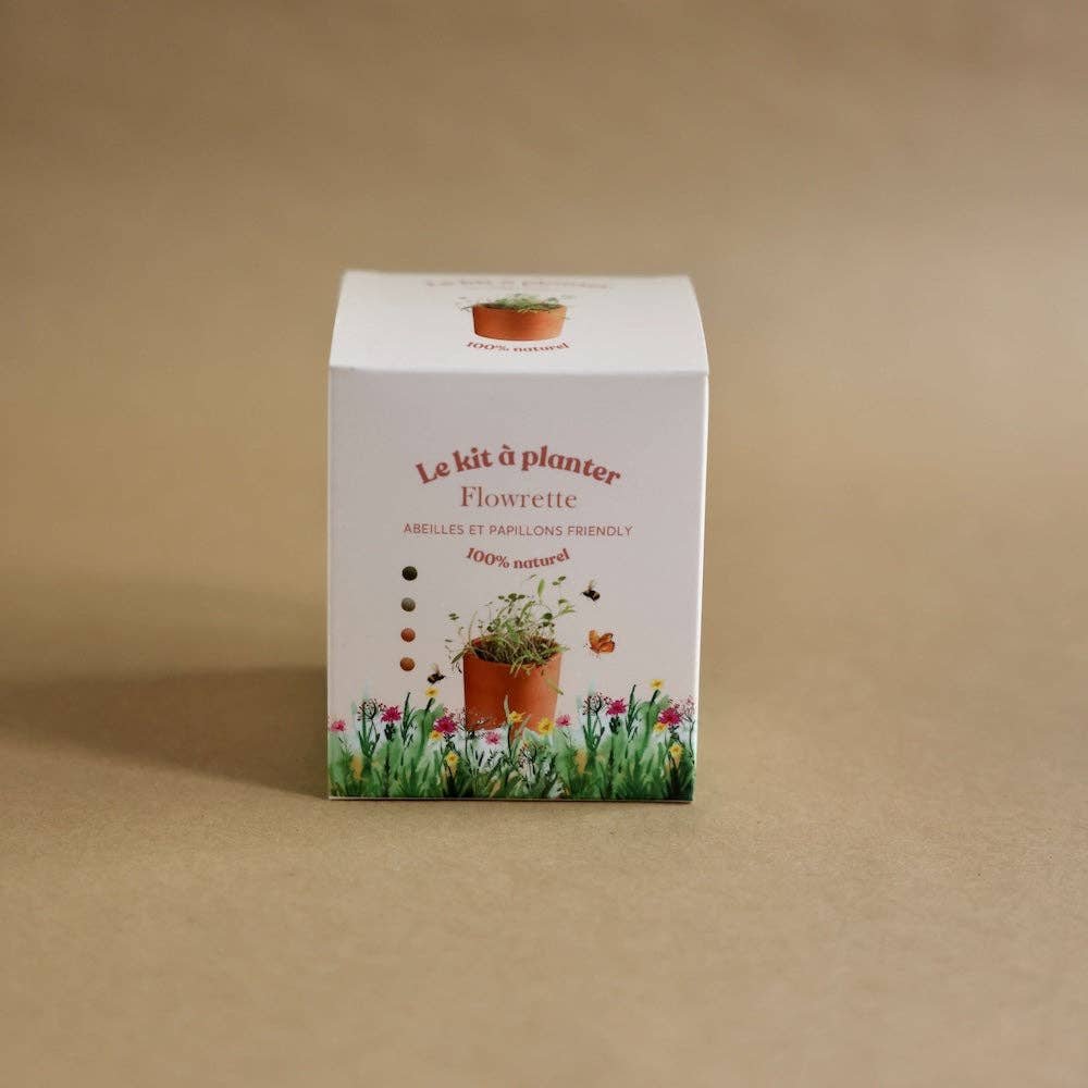 Flowrette - Wholesale Plant Seeds - Planting kit9