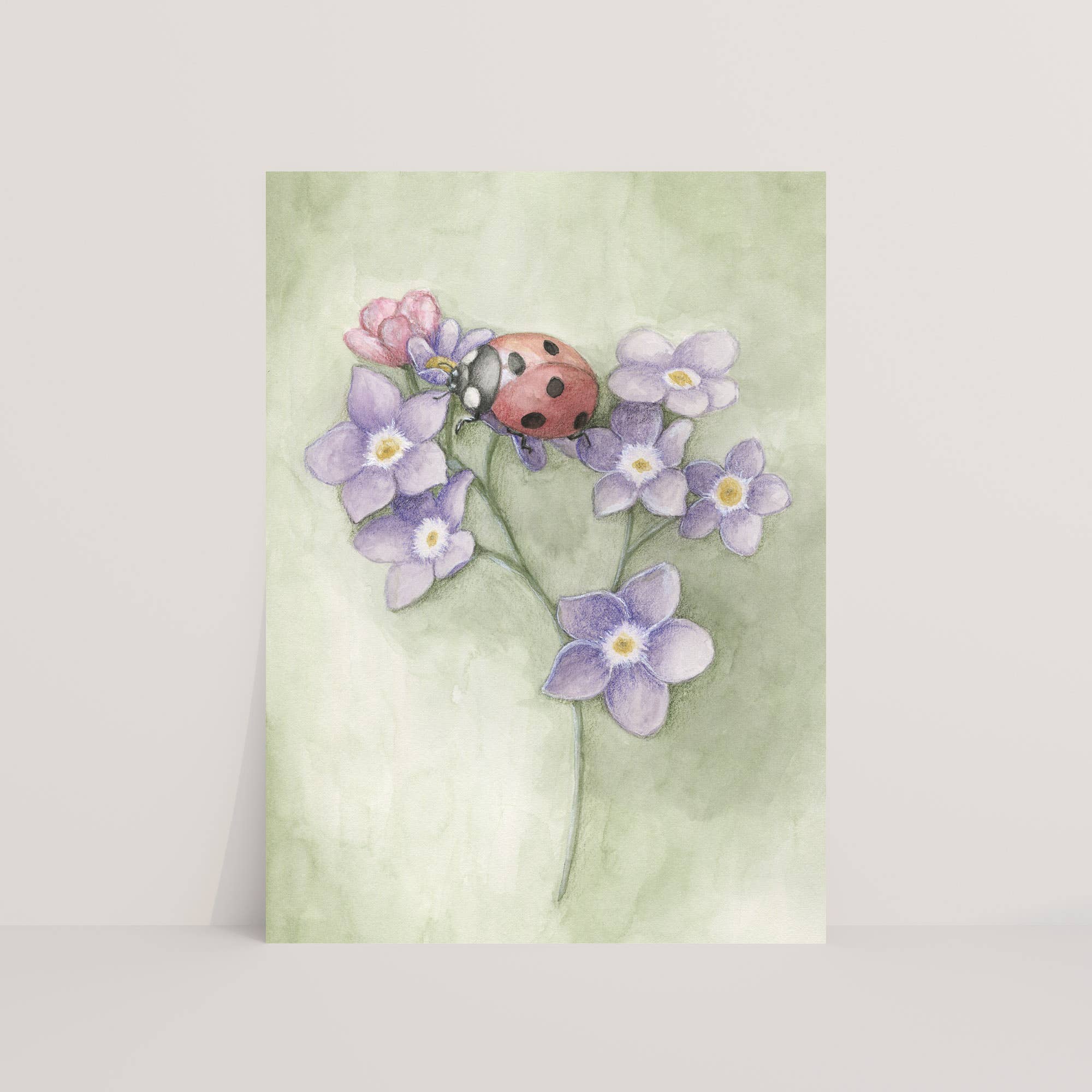 Appeloogje - Vente Carte de vœux classique - Carte postale coccinelle avec fleurs