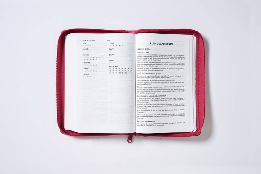 HarperCollins Christian Publishing - Wholesale Religion - RVR60, Santa Biblia, Tierra Santa, Ultrafina, Letra grande15