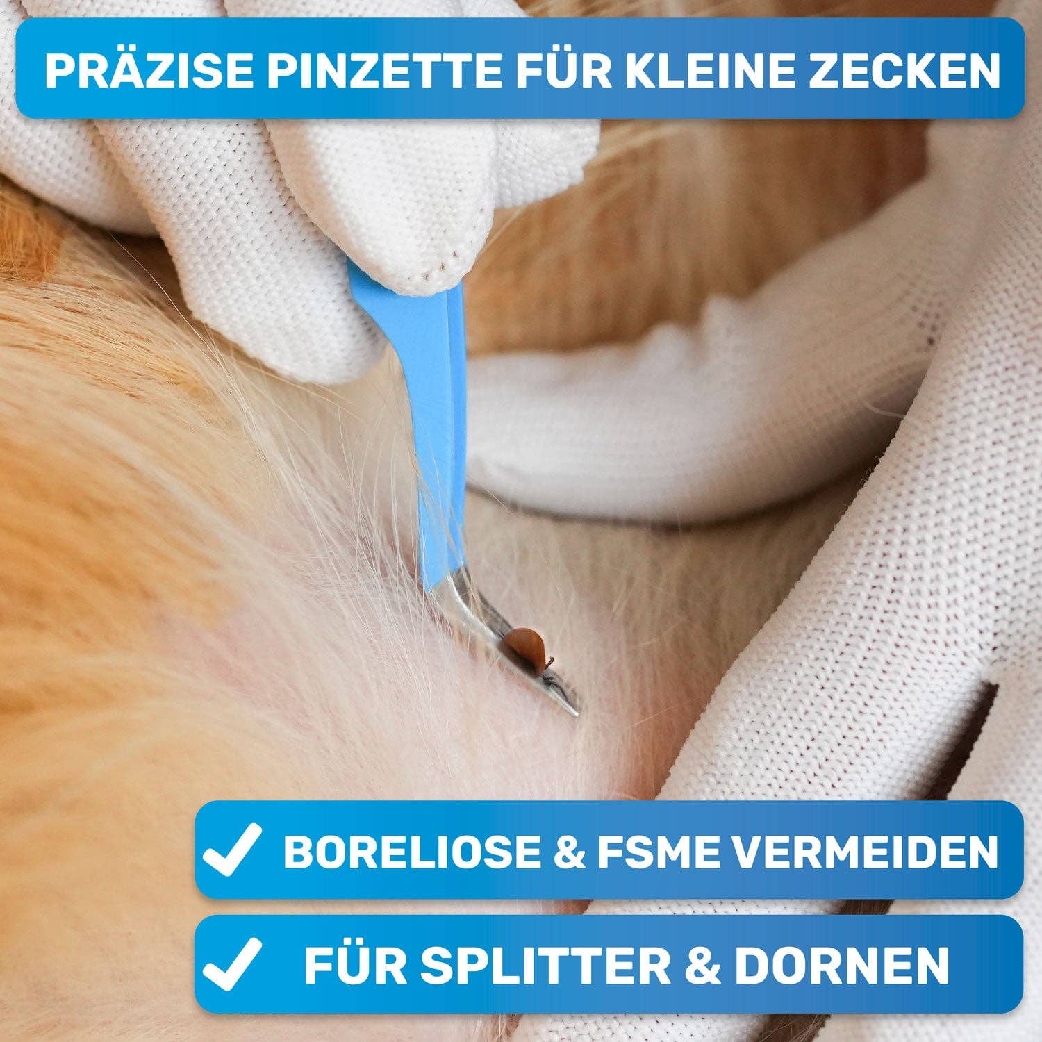 BluePet - Wholesale Pet Grooming Set - Dog - 10-piece tick remover set, emergency kit for dogs & cats5