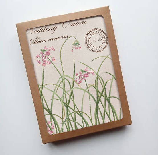 Fable & Fen, LLC - Wholesale Stationery/Notecard Set - Nodding Onion Vintage Botanical Specimen Notecard Set