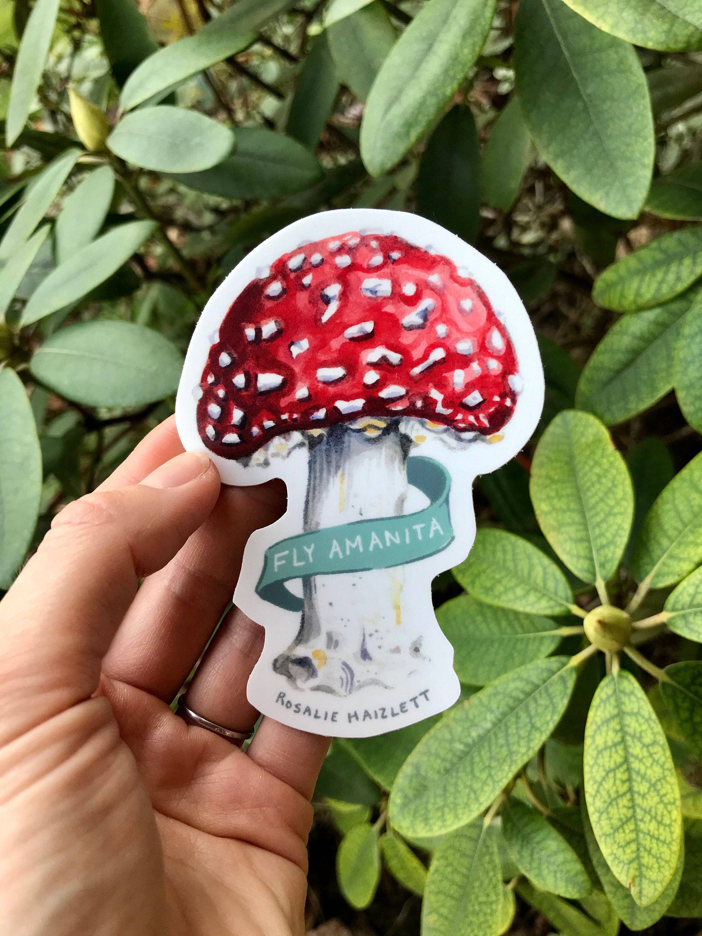 Rosalie Haizlett Illustration - Wholesale Sticker - Amanita Mushroom Waterproof Sticker2