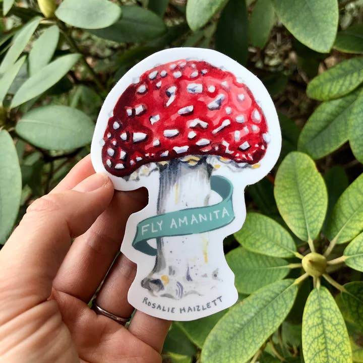 Rosalie Haizlett Illustration - Wholesale Sticker - Amanita Mushroom Waterproof Sticker2