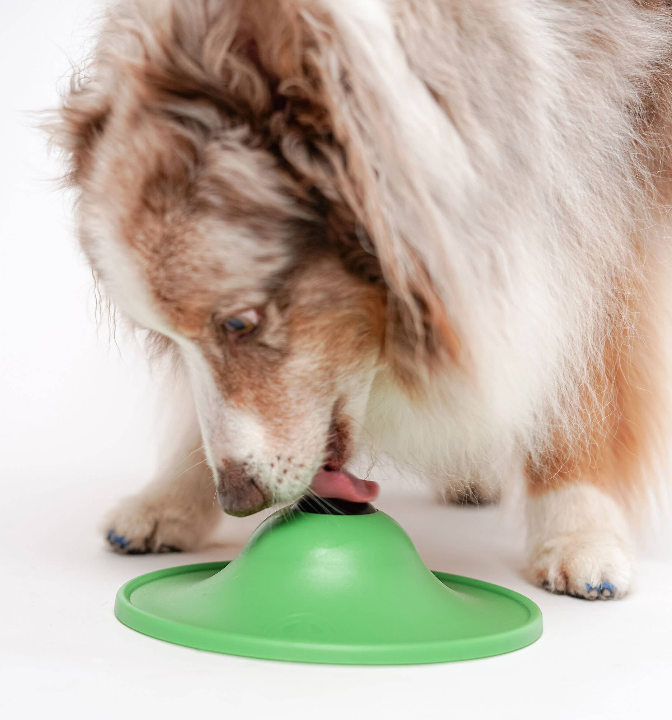 Stashios - Wholesale Pet Food - Dog - Soothing Saucer®2
