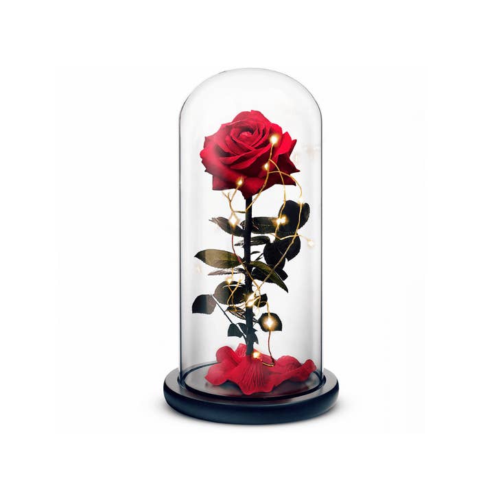 Beauty and The Beast Rose (Red) for wholesale by Rosephoria