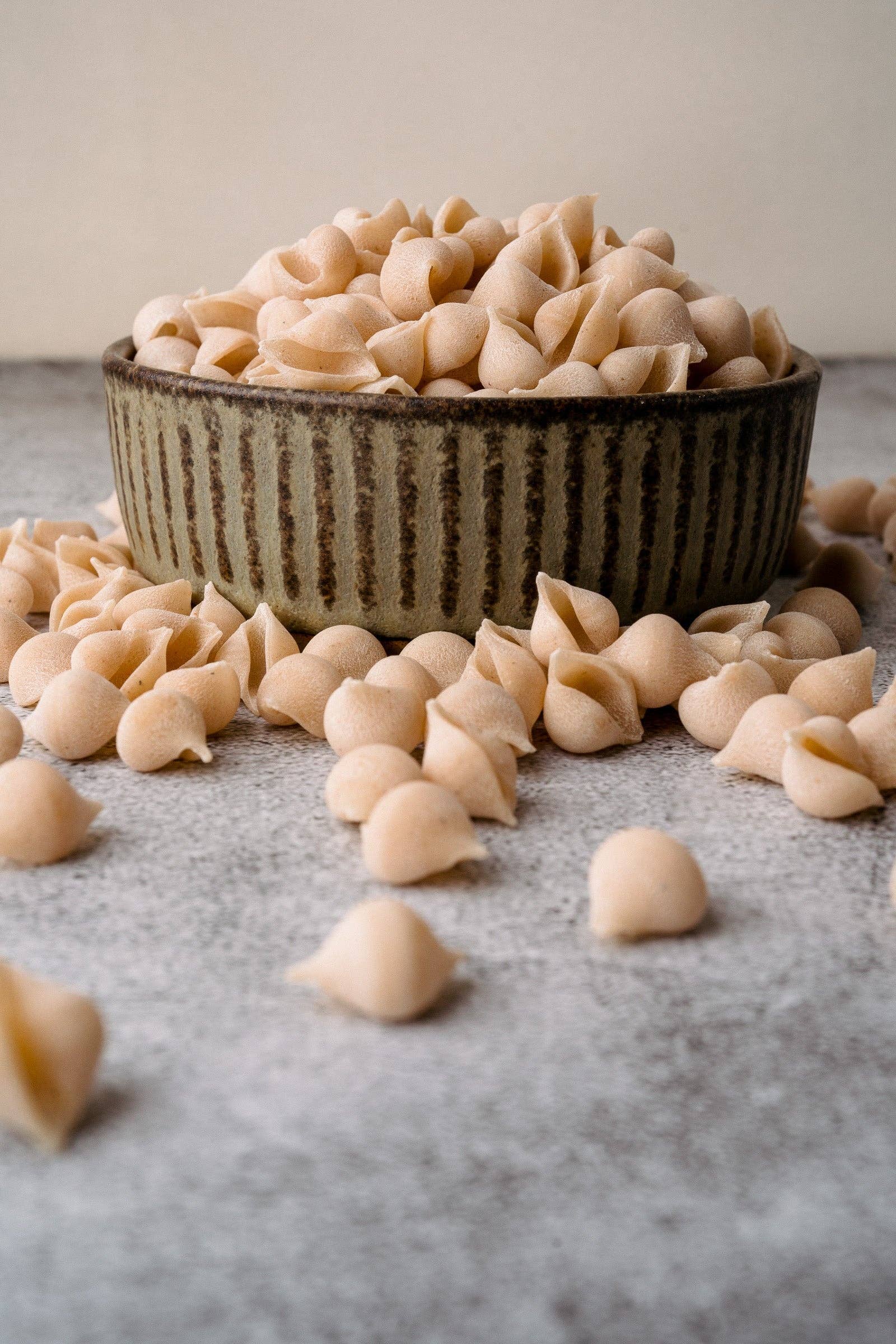 Northern Pasta Co. – wholesale Pasta – Conchigliette1