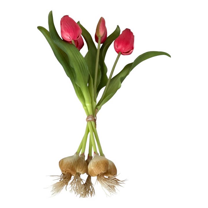 Tulpenbund x 5, 31 cm m. Zwiebel "soft touch" beauty für den Großhandel von Floratexx