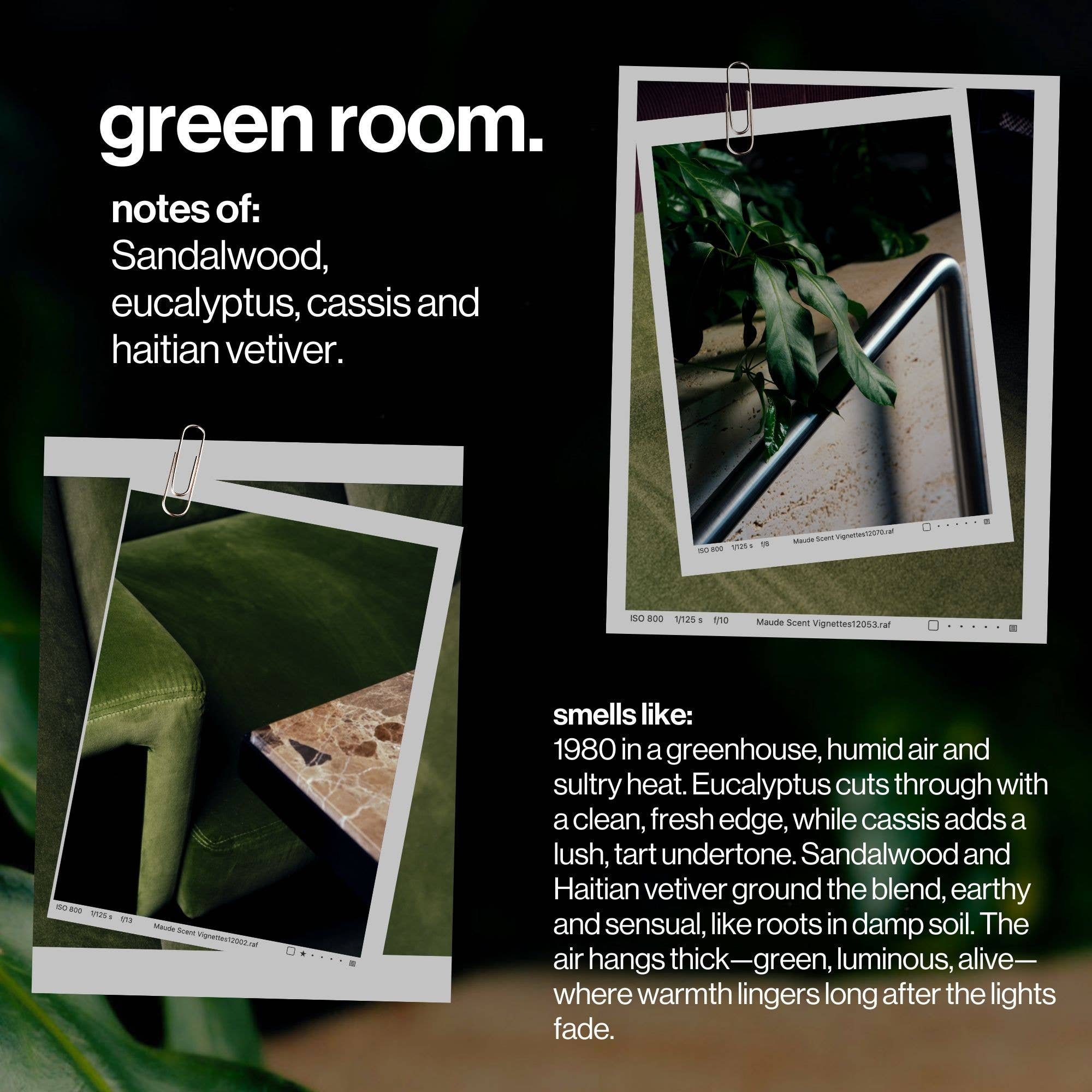 maude - Wholesale Body Wash/Shower Gel - wash, green room body wash and bubble bath1