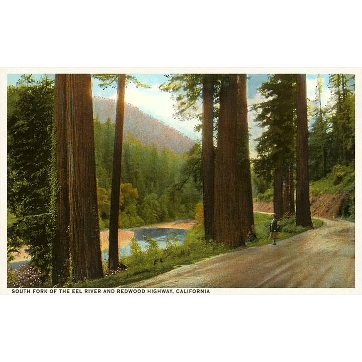 Greeting Card CA-284 Eel River, Redwood Highway, California for wholesale by Found Image Press
