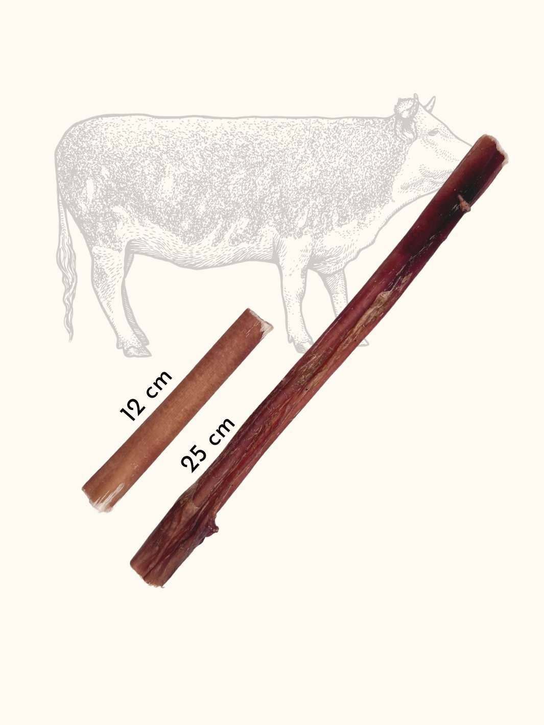 Truffe Délice - Wholesale Pet treats – Dog - Beef sticks1