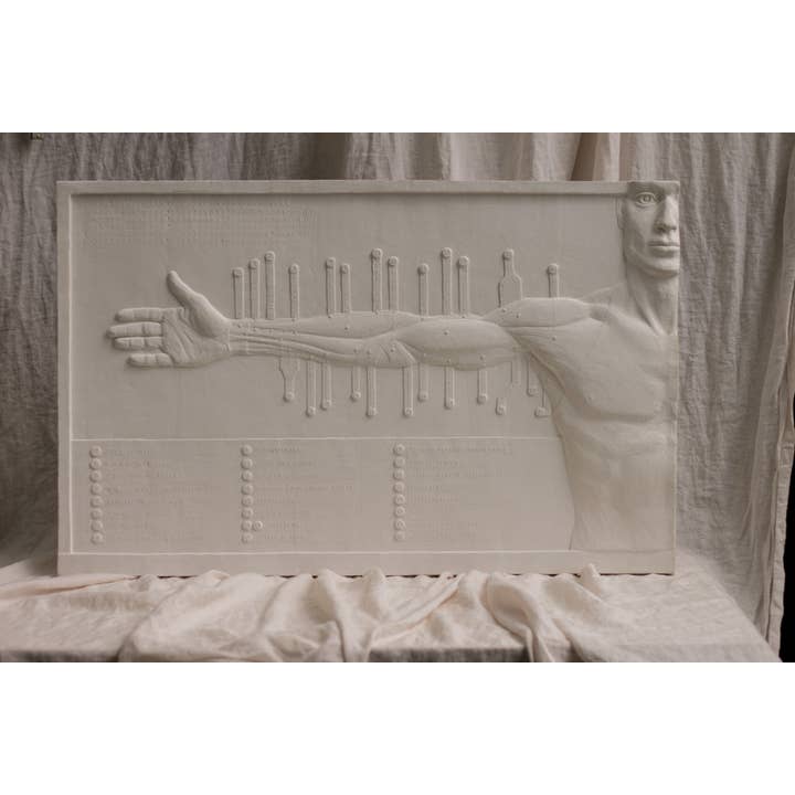 dellsculpture - Wholesale Sculpture - ANATOMICAL ARM