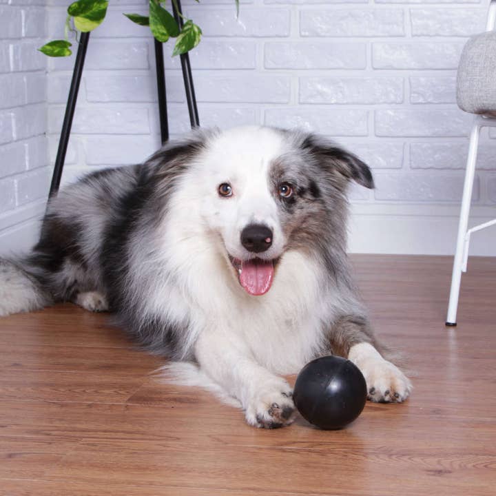 EcoTough Orb Hundespielzeug für den Großhandel von Shreds + rerope