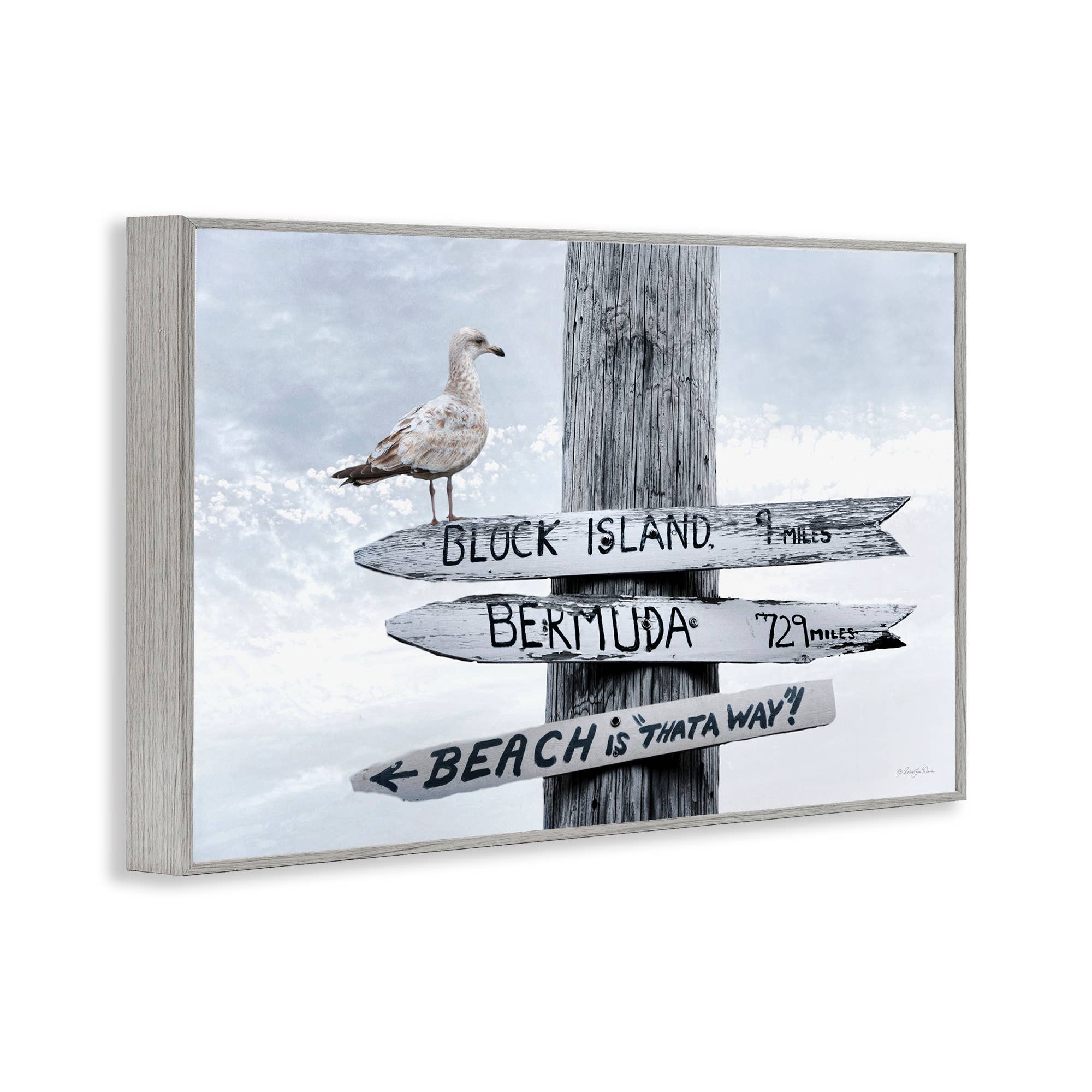 Stupell Industries – wholesale Väggskylt – Semesterstrandskyltar med mås - Inramad väggkonst14