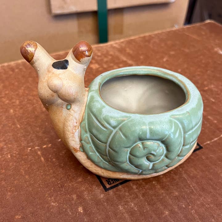 Ceramic Snail Planter (6 Piece Box) for wholesale by Succulents & Such, Inc.