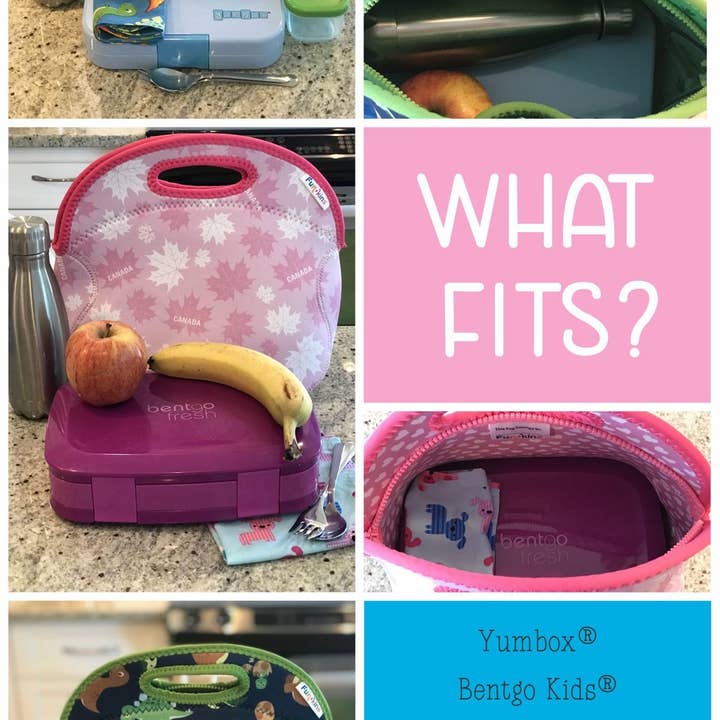 My Funkins - Wholesale Lunch Bag/Box - Kids - Large, Machine Washable Lunch Bag for Kids - Ballerinas3