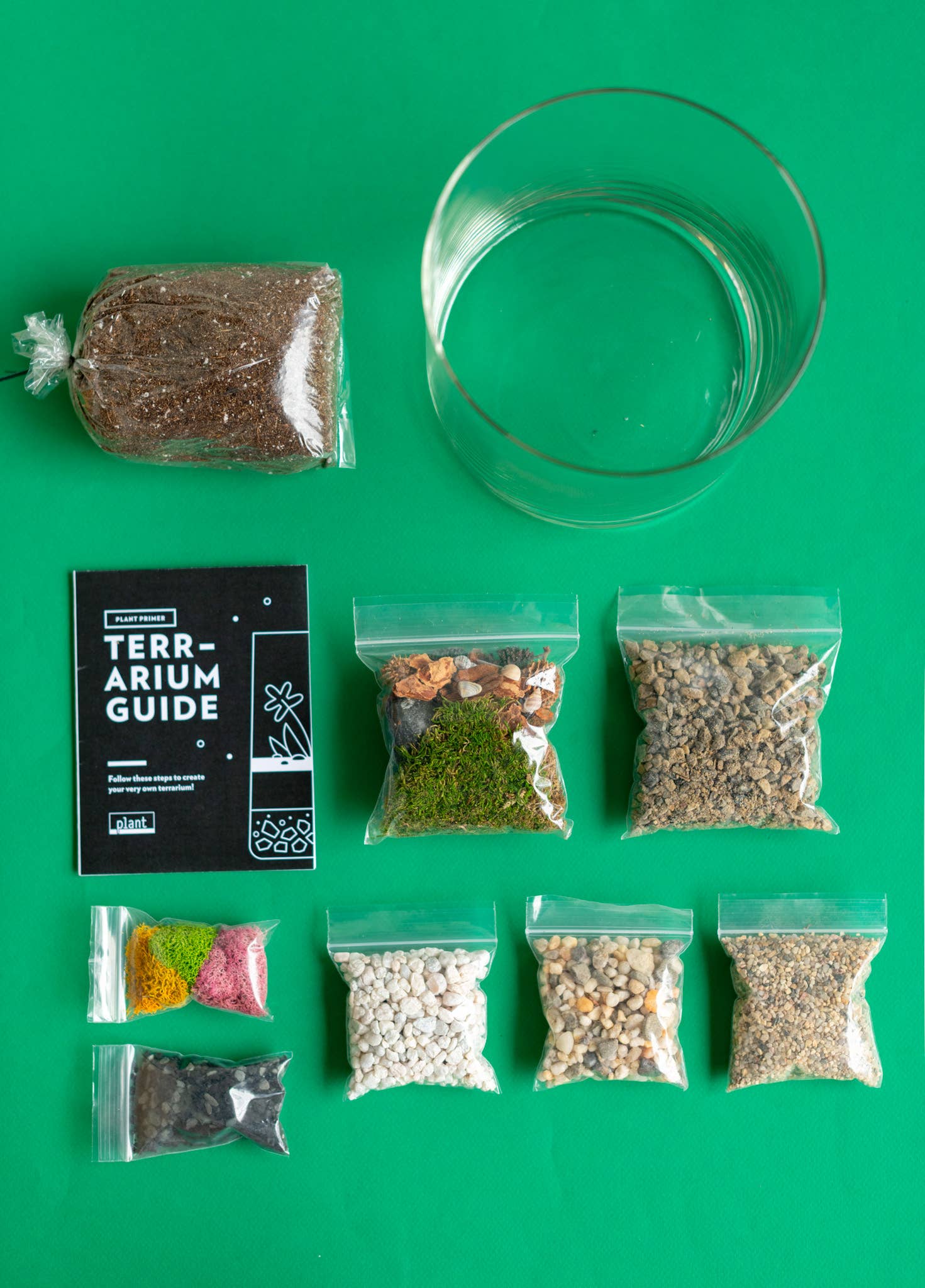 Plant Shop - Vente Kit de bricolage - Kit de terrarium : grand cylindre2