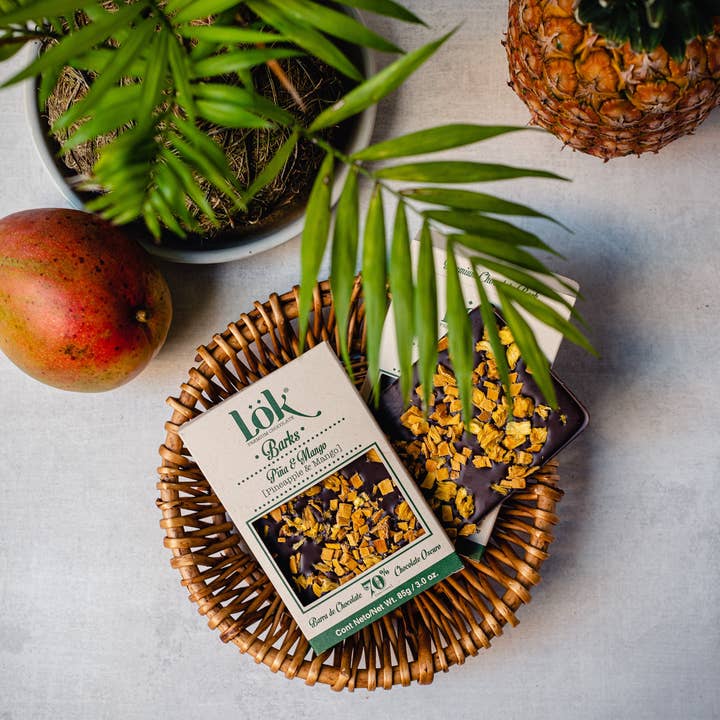 Lok Foods Austria - Wholesale Chocolate Bar - 70% Fine Flavor Chocolate Bar with Pineapple & Mango2