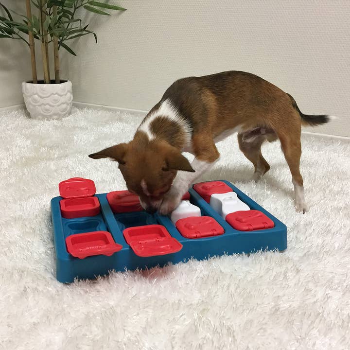 Pet Palette Distribution - Wholesale Pet Toy - Dog - Nina Ottosson Dog Brick Interactive Treat Dog Puzzle Blue2