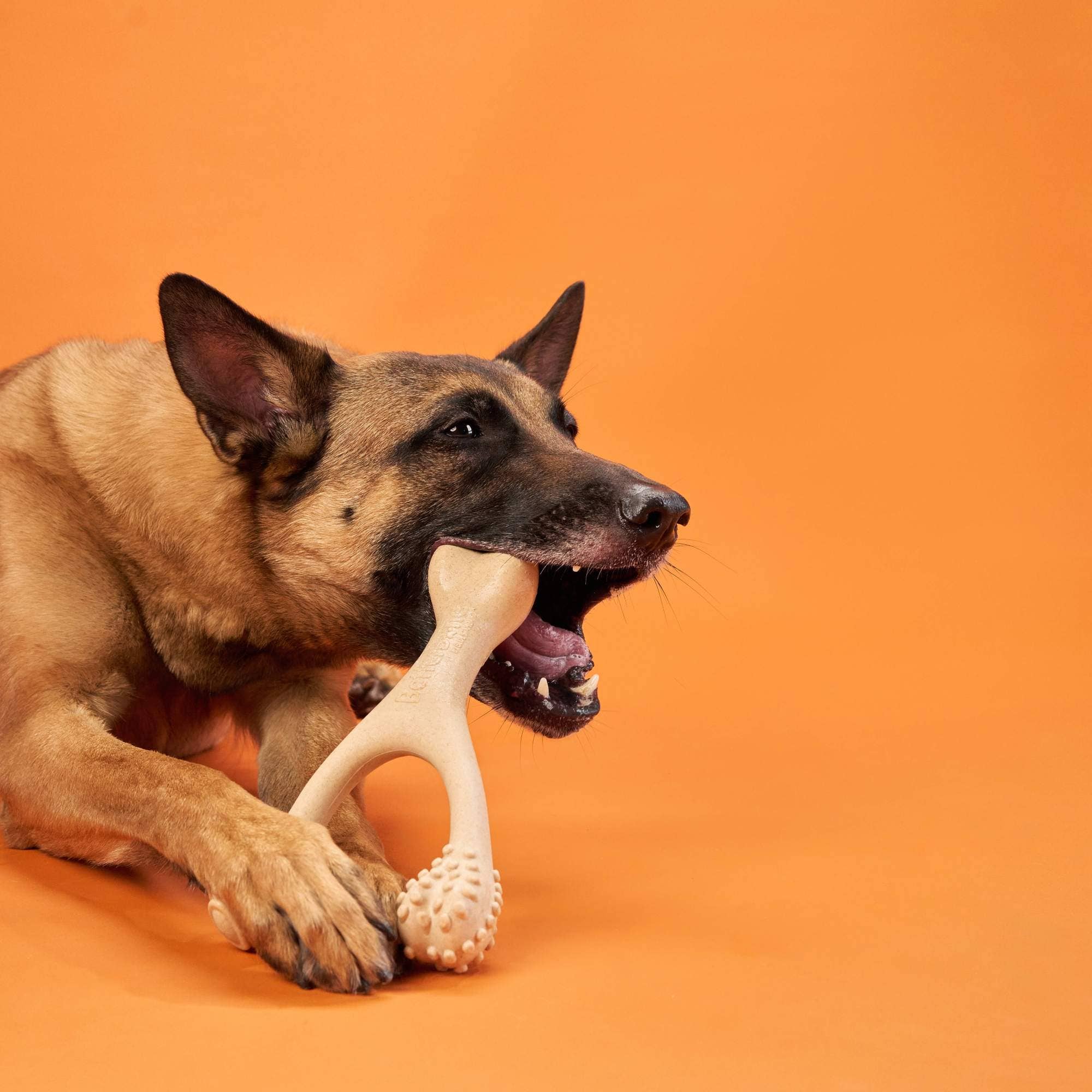 Naomi's Happy Place Shop - Wholesale Pet Chew Toy - Dog - BetterBone HARD CHEW TOY: Natural Ingredients, eco-friendly, and ultra-durable chew for the toughest chewers!11