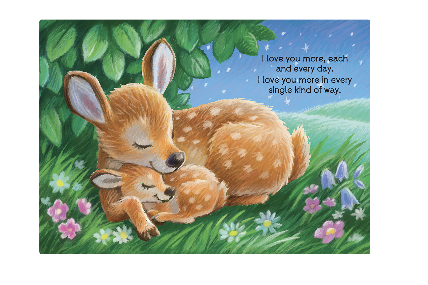 Little Hippo Books - Wholesale Preschool Book (3-5) - I Love You More1