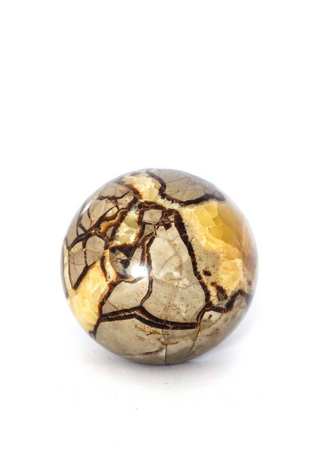 Apothecary Co. - Wholesale Spiritual Stone/Crystal - Septarian Dragon Sphere