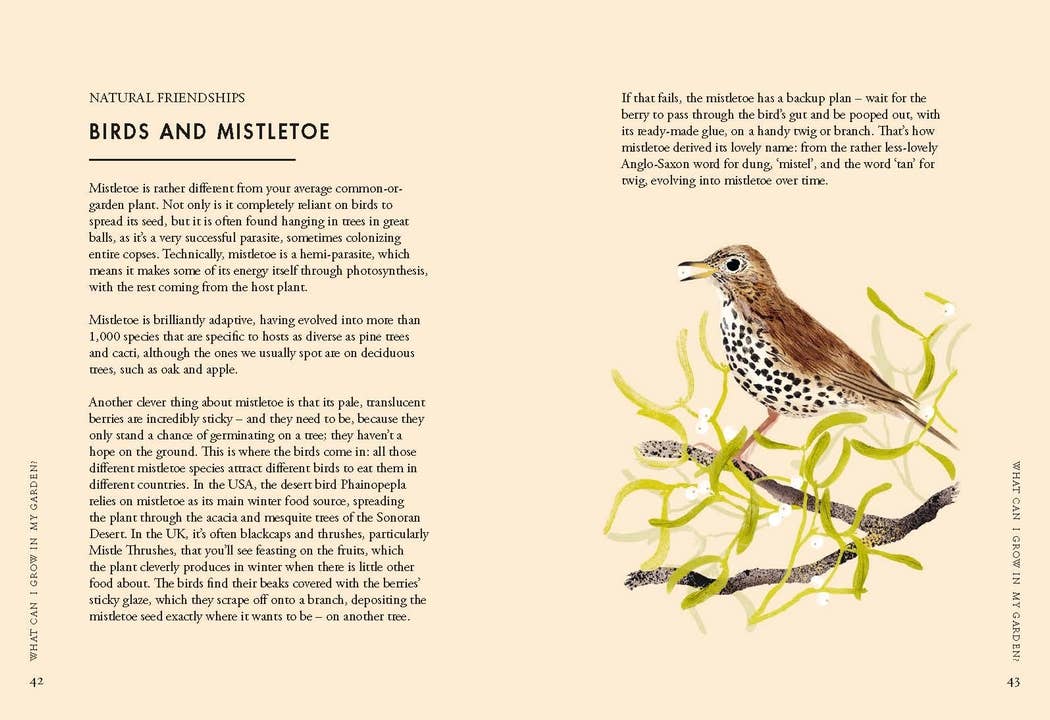 Chronicle Books - Wholesale Nature & Outdoors Book - Planting Wildflowers3