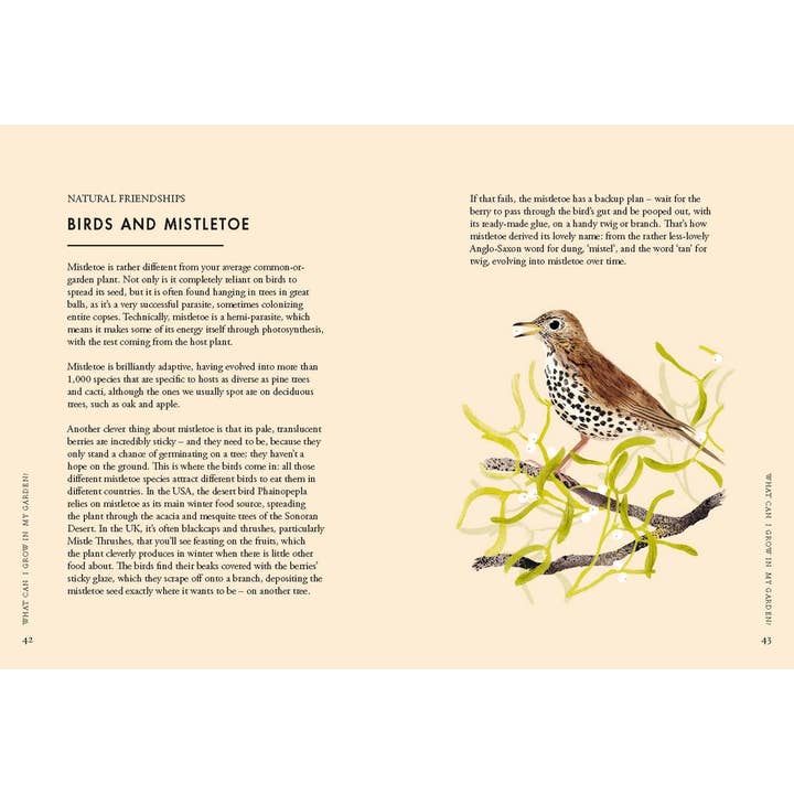 Chronicle Books - Wholesale Nature & Outdoors Book - Planting Wildflowers3